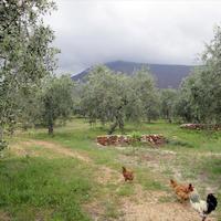 Земельный участок в Греции