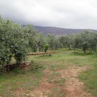 Земельный участок в Греции