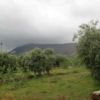 Земельный участок в Греции