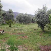 Земельный участок в Греции