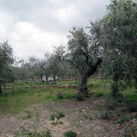 Земельный участок в Греции