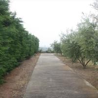 Другое в Греции, 300 кв.м.