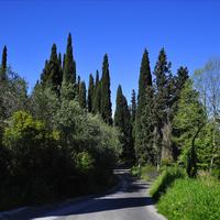 Земельный участок в Греции