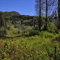 Земельный участок в Греции