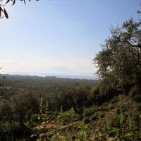 Земельный участок в Греции