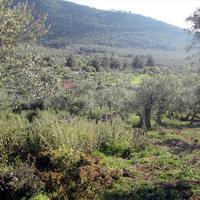 Земельный участок в Греции