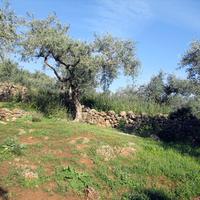 Земельный участок в Греции