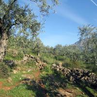 Земельный участок в Греции