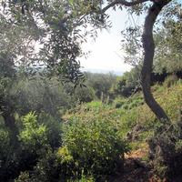 Земельный участок в Греции