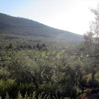 Земельный участок в Греции