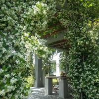 Villa in Greece, 558 sq.m.