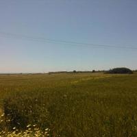 Земельный участок в Греции, 29500 кв.м.