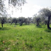 Land plot in Greece