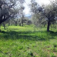 Land plot in Greece