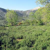 Земельный участок в Греции