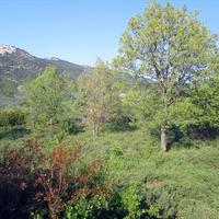 Земельный участок в Греции