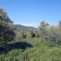 Земельный участок в Греции