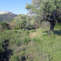 Земельный участок в Греции