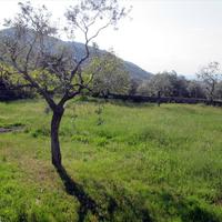 Земельный участок в Греции