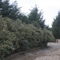 Villa in Greece, 300 sq.m.