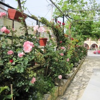 Отель (гостиница) в Греции, 580 кв.м.