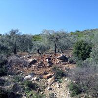 Land plot in Greece