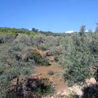 Land plot in Greece