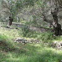 Земельный участок в Греции