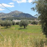 Land plot in Greece, 4530 sq.m.