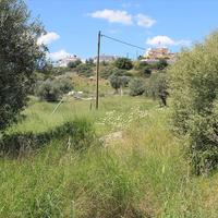 Land plot in Greece, 4530 sq.m.