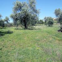 Land plot in Greece