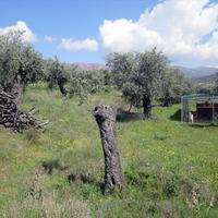 Land plot in Greece