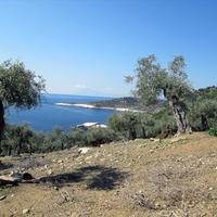 Land plot in Greece