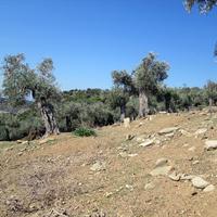 Land plot in Greece