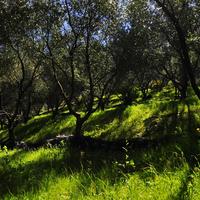 Земельный участок в Греции