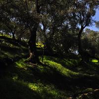 Земельный участок в Греции