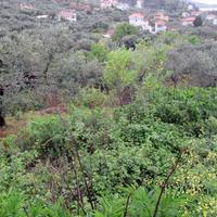 Земельный участок в Греции