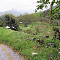Land plot in Greece