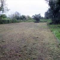 Land plot in Greece