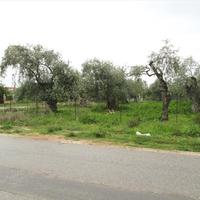 Land plot in Greece