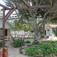 Land plot in Greece, 2350 sq.m.