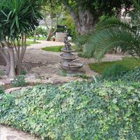 Land plot in Greece, 2350 sq.m.