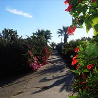 Land plot in Greece, 2350 sq.m.