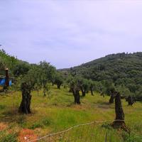 Land plot in Greece