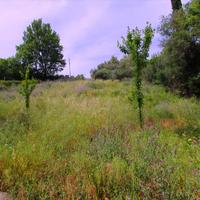 Land plot in Greece