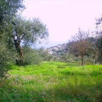 Land plot in Greece