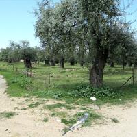 Land plot in Greece
