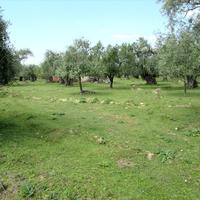 Land plot in Greece