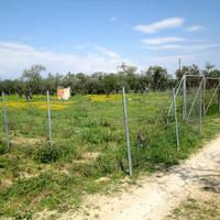 Land plot in Greece