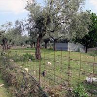 Land plot in Greece